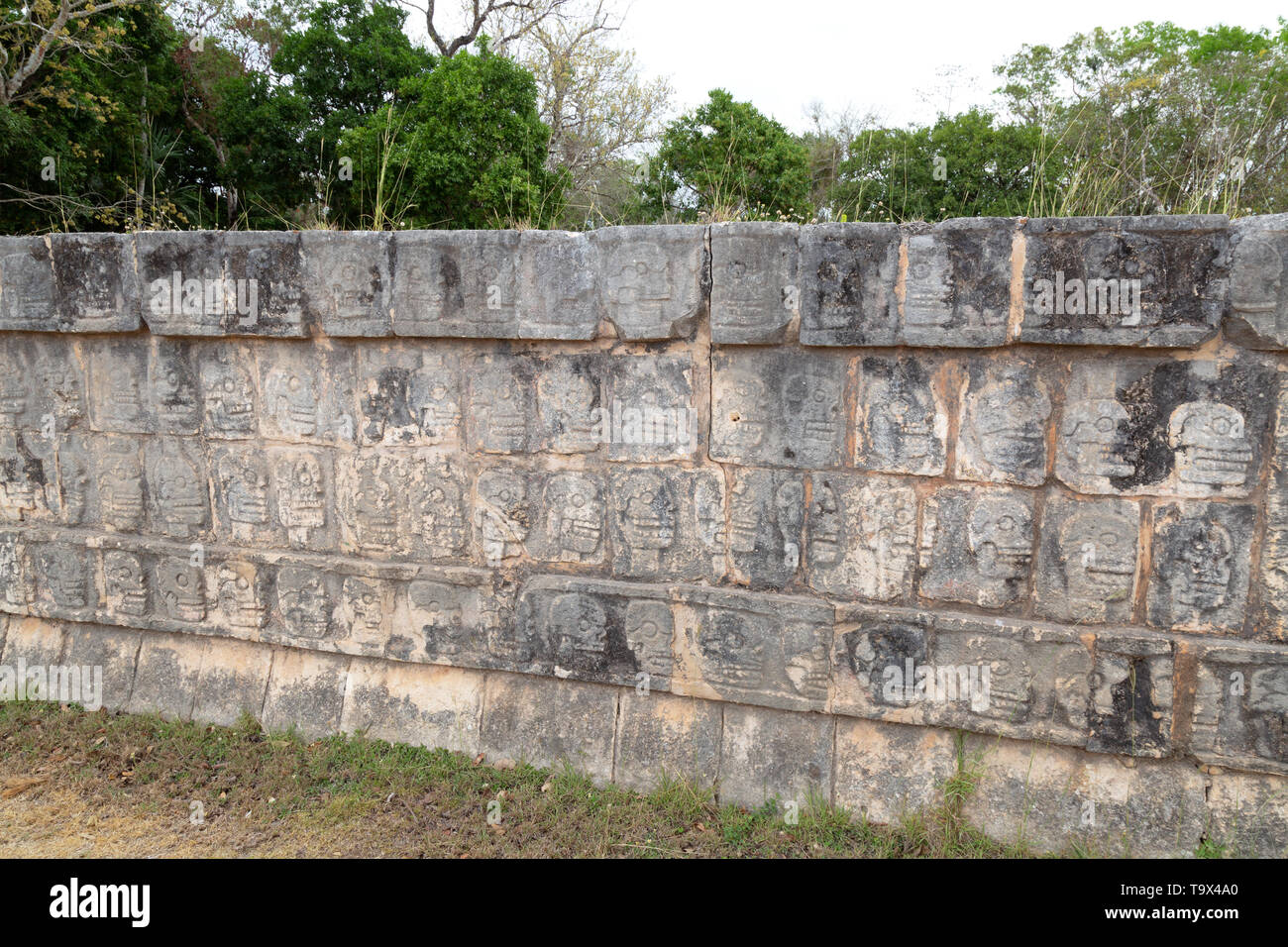 The Tzompantli, or Skull Platform, where the heads of Mayan victims, usually defeated enemies, were displayed; Chichen Itza, Mexico Latin America Stock Photo