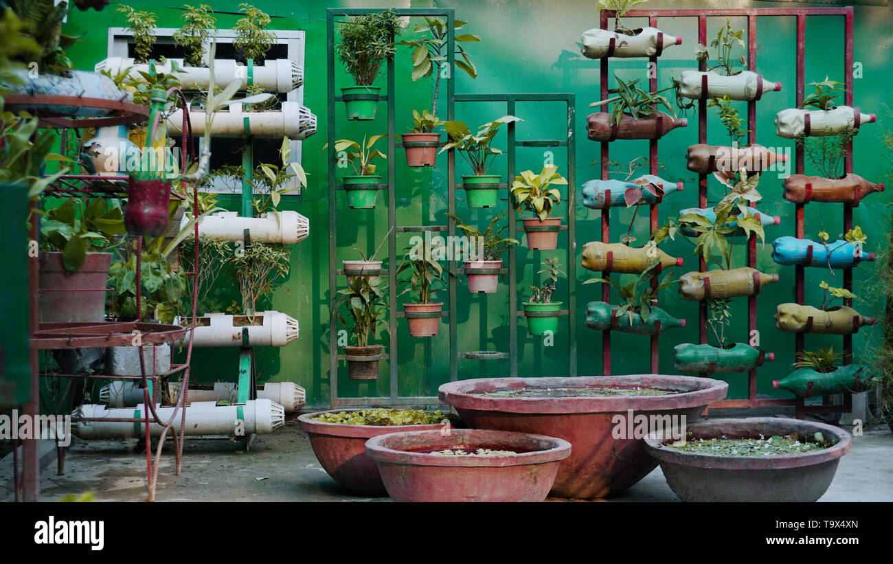 Planting vertically hi-res stock photography and images - Alamy