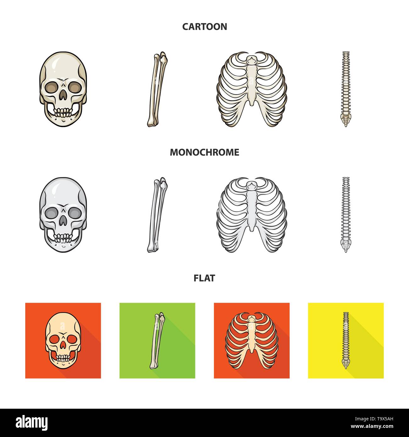 skull,femur,rib,spine,death,cage,chiropractic,monster,leg,xray,backbone ...