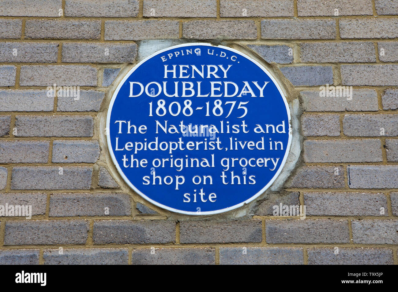 Essex, UK - May 18th 2019: A blue plaque in the town of Epping, commemorating famous Naturalist and Lepidopterist Henry Doubleday - who once lived on  Stock Photo