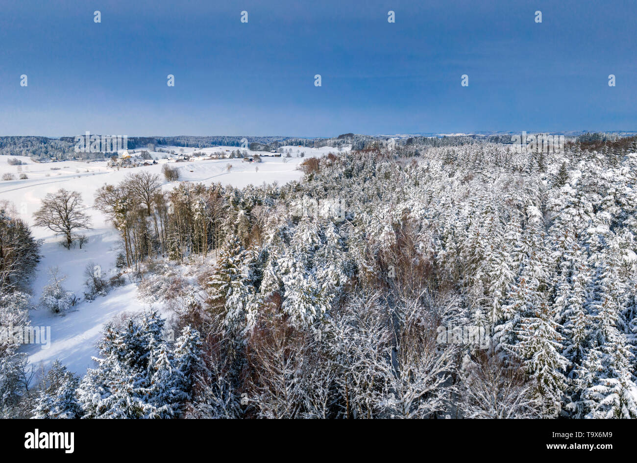 Winter scenery with snowy trees, Jenhausen, Upper Bavaria, Bavaria, Germany, Europe, Winterlandschaft mit schneebedeckten Bäumen, Oberbayern, Bayern,  Stock Photo