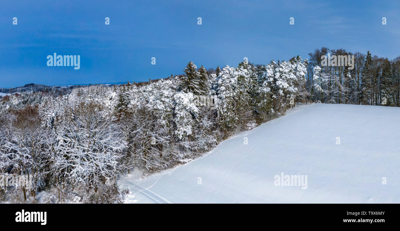 Winter scenery with snowy trees, Jenhausen, Upper Bavaria, Bavaria, Germany, Europe, Winterlandschaft mit schneebedeckten Bäumen, Oberbayern, Bayern,  Stock Photo