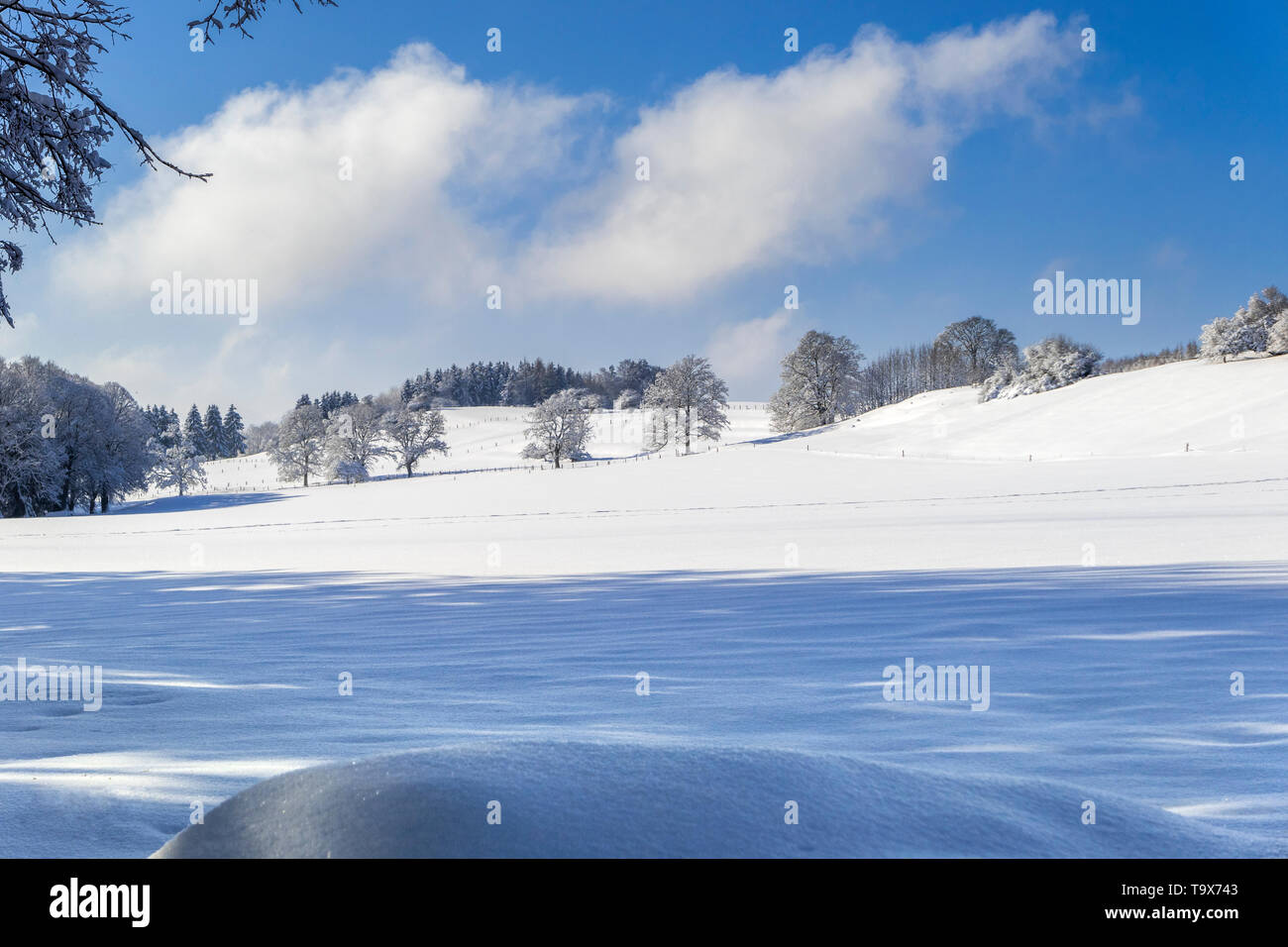 Nice winter scenery after fresh snowfall on the Ilkahöhe, Tutzing, Bavaria, Germany, Europe, Schöne Winterlandschaft nach Neuschnee auf der Ilkahöhe,  Stock Photo