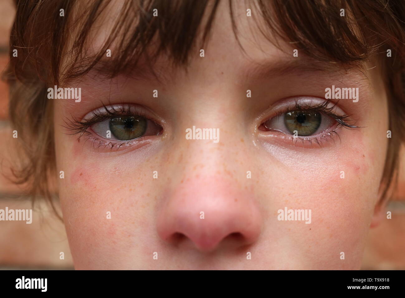 Macro shot of the eyes and nose of an upset child with big green eyes Stock Photo