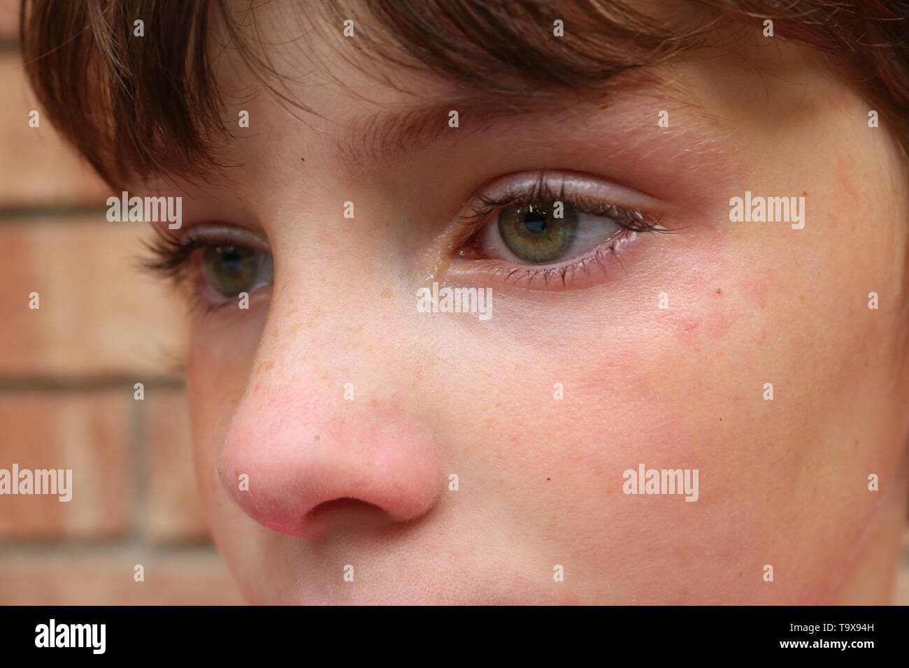 Closeup of young upset child with green eyes and a red nose with a tear in eye Stock Photo