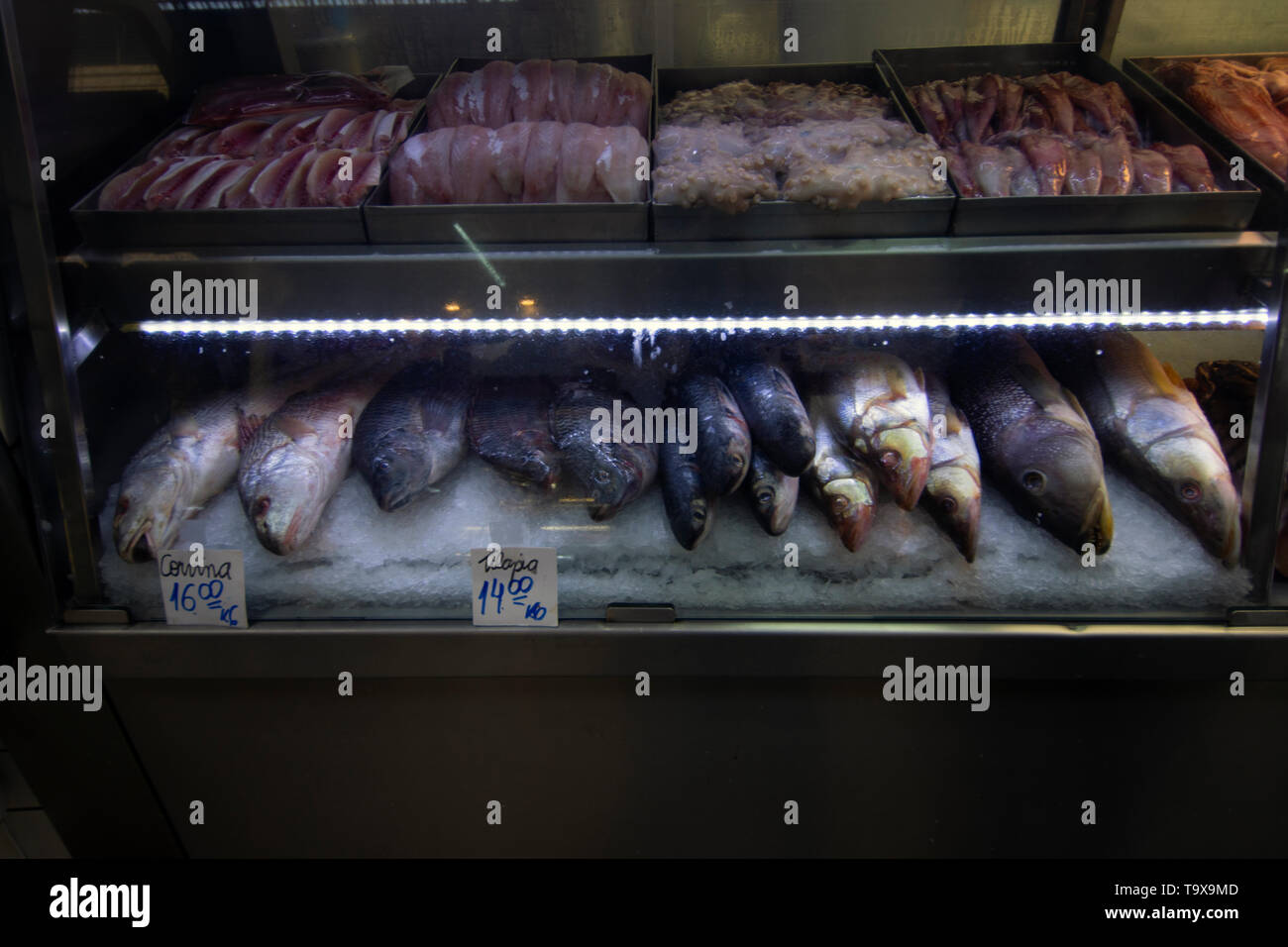 Fresh fish and meat on display for sale, Municipal Market, Sao Paulo, Brazil Stock Photo
