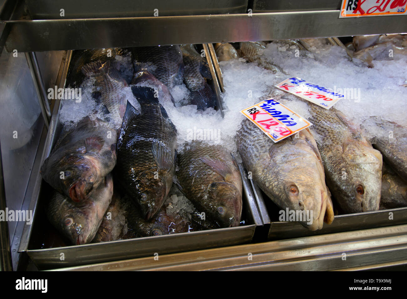 Fresh fish for sale at Municipal Market, Sao Paulo, Brazil Stock Photo