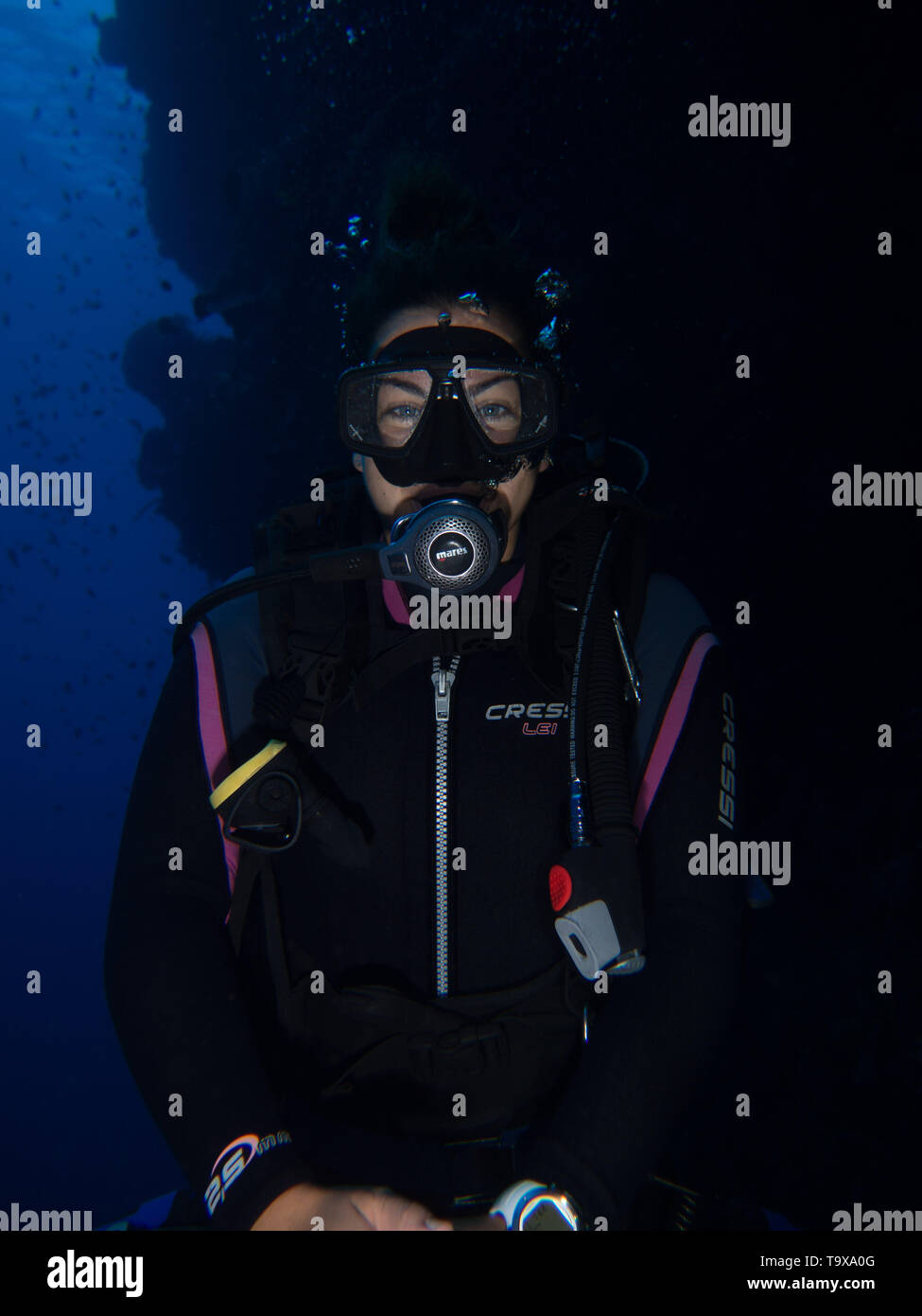 Woman scuba diver (existing model release) underwater enjoying the coral reef of Bunaken National Park, Sulawesi, Indonesia Stock Photo