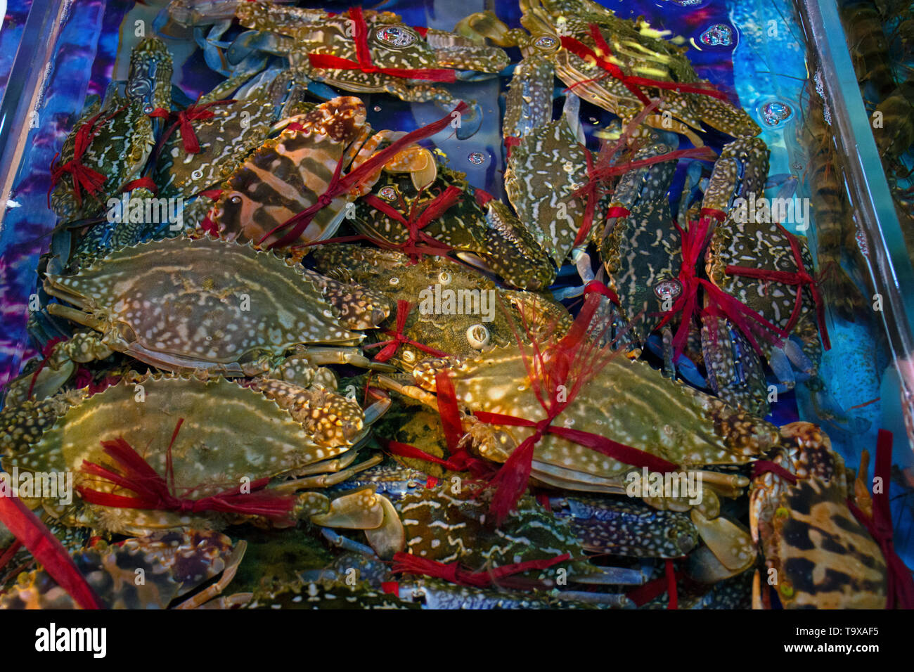 Crabs for sale at the seafood market in Haikou, Hainan Island, China Stock Photo