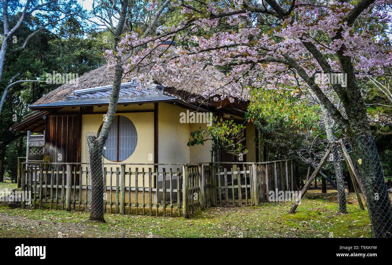 Wooden traditional house in Kyoto, Japan. Kyoto was the Imperial capital of Japan for more than one thousand years. Stock Photo