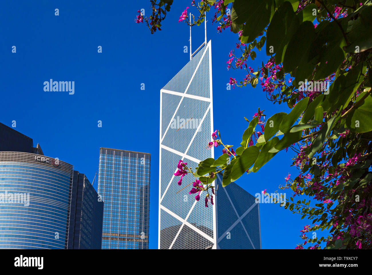 Bank of China tower, Hong Kong skyline, SAR, China Stock Photo