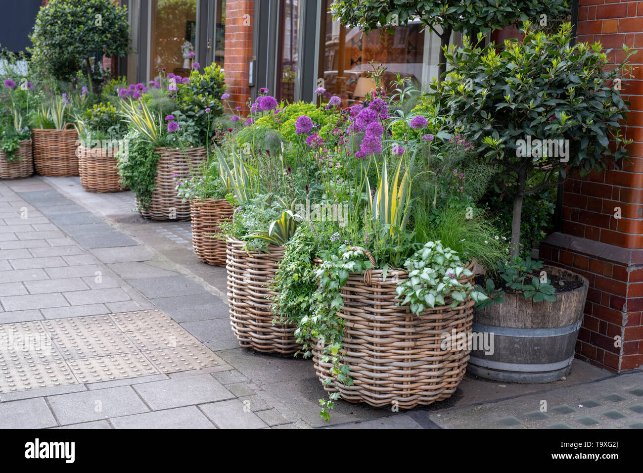 Floral display outside Sibyl Colefax and John Fowler's interior design shop in Pimlico Road for Chelsea in Bloom 2019. Belgravia, London, England Stock Photo
