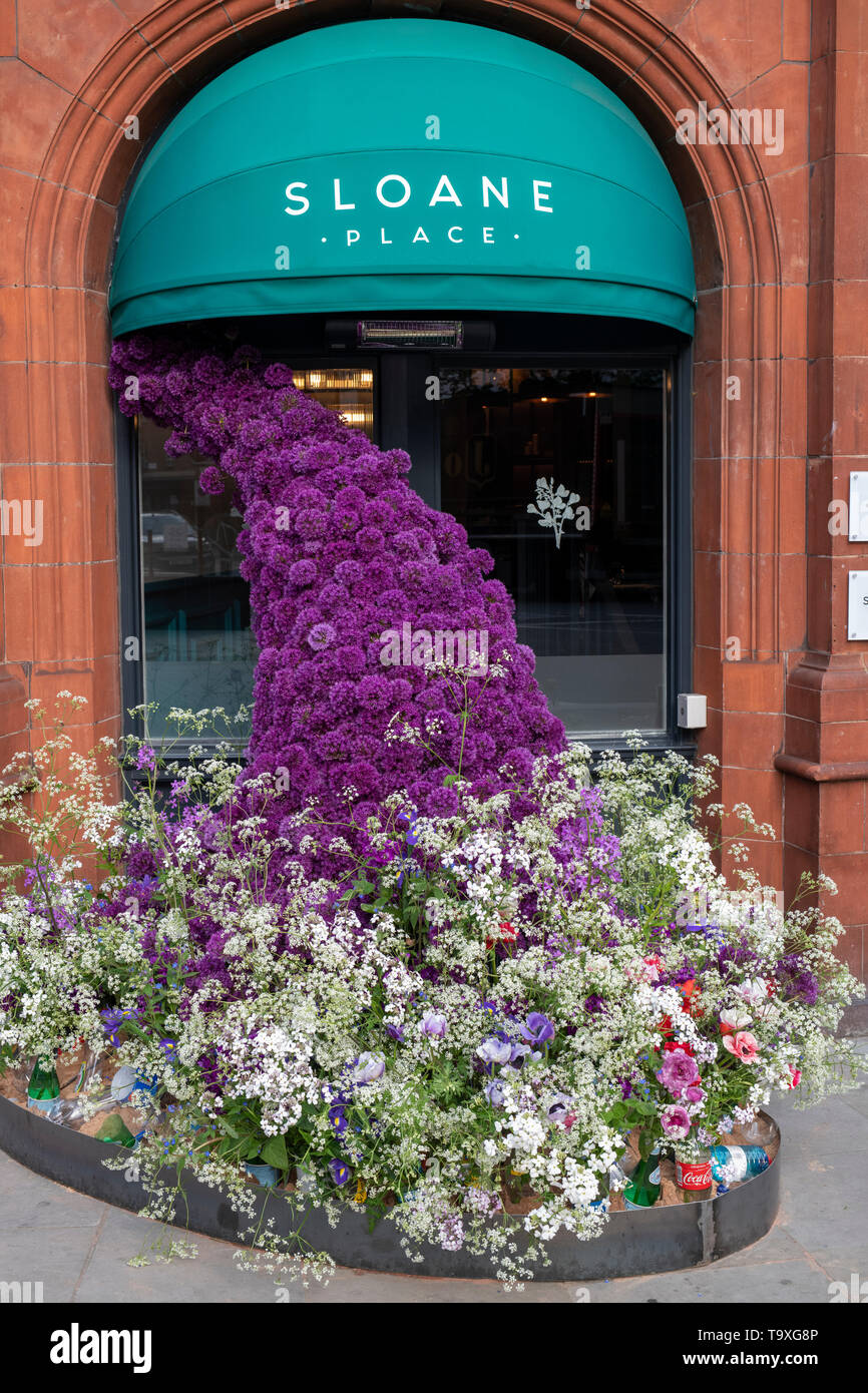 Sloane Place Hotel floral display in Lower Sloane Street for Chelsea in Bloom 2019. Chelsea, London, England Stock Photo