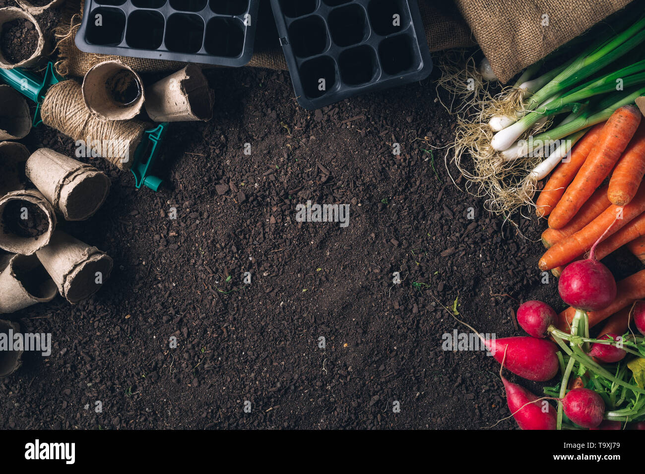 Organic homegrown produce and gardening equipment with copy space, top view of greenhouse peat