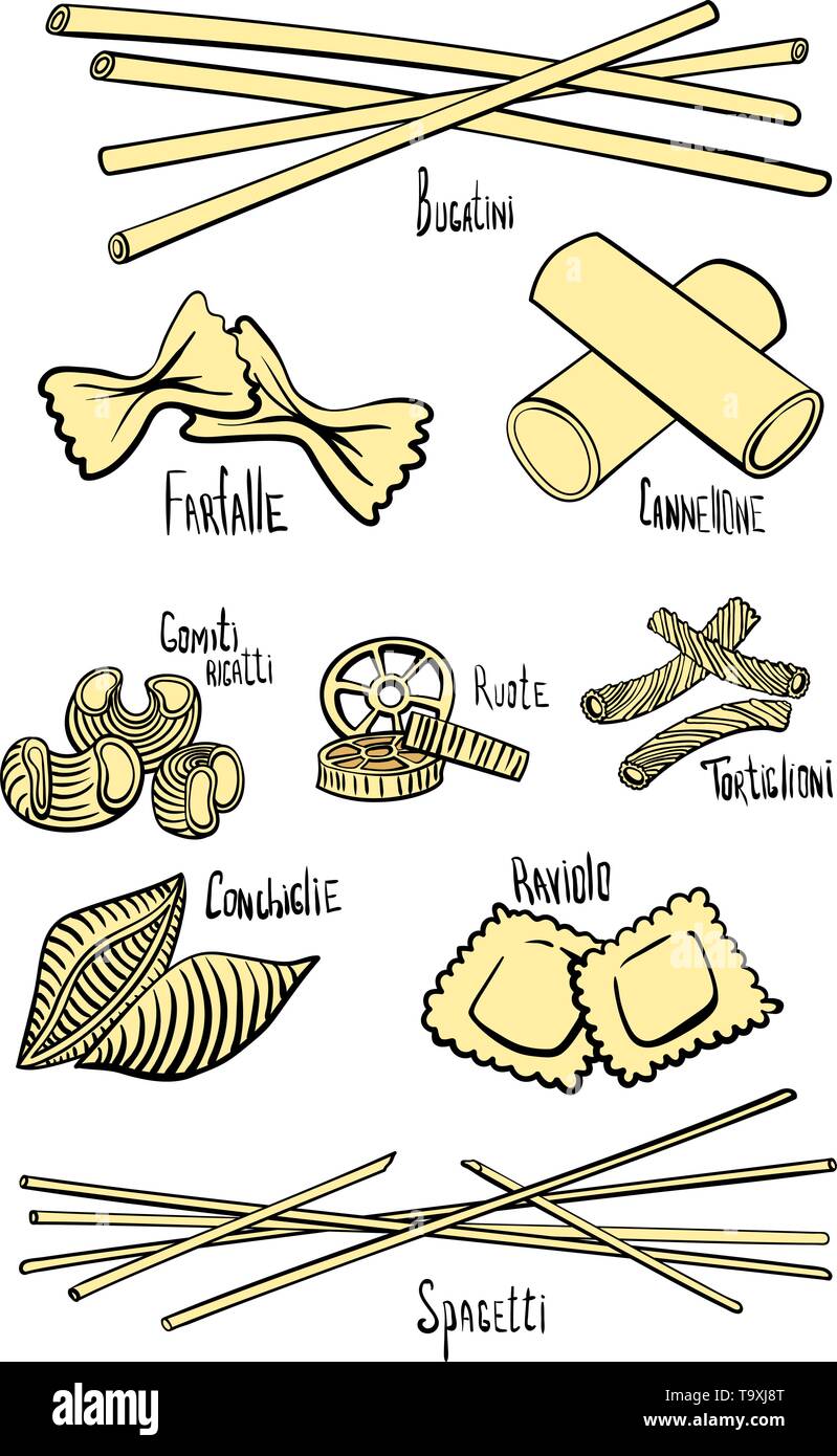 A set of different types of pasta in colored handdrawing lines. Vector