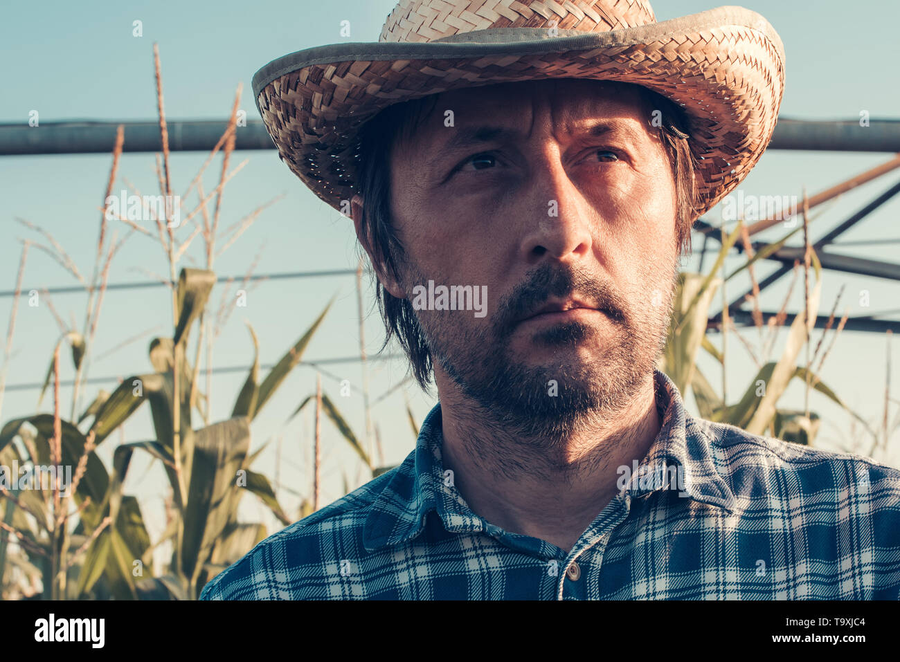 Serious thoughtful farmer in corn field, looking confident and determined Stock Photo