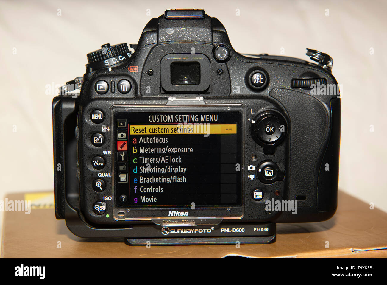 Nikon D600 DSLR rear LCD screen Stock Photo