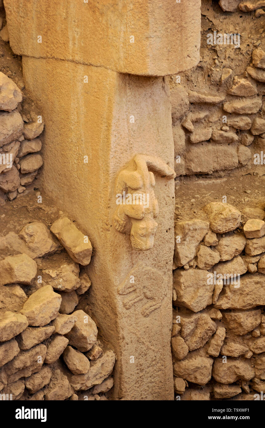 Ancient ruins with carved animals in stone at Gobekli Tepe, Sanliurfa, Turkey Stock Photo