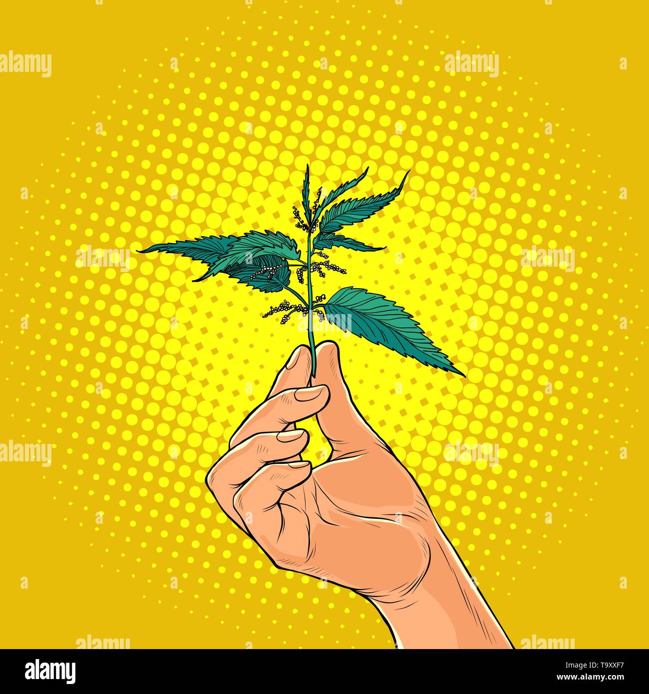 nettle, green burning plant in the hands. Pop art retro vector illustration vintage kitsch Stock Vector