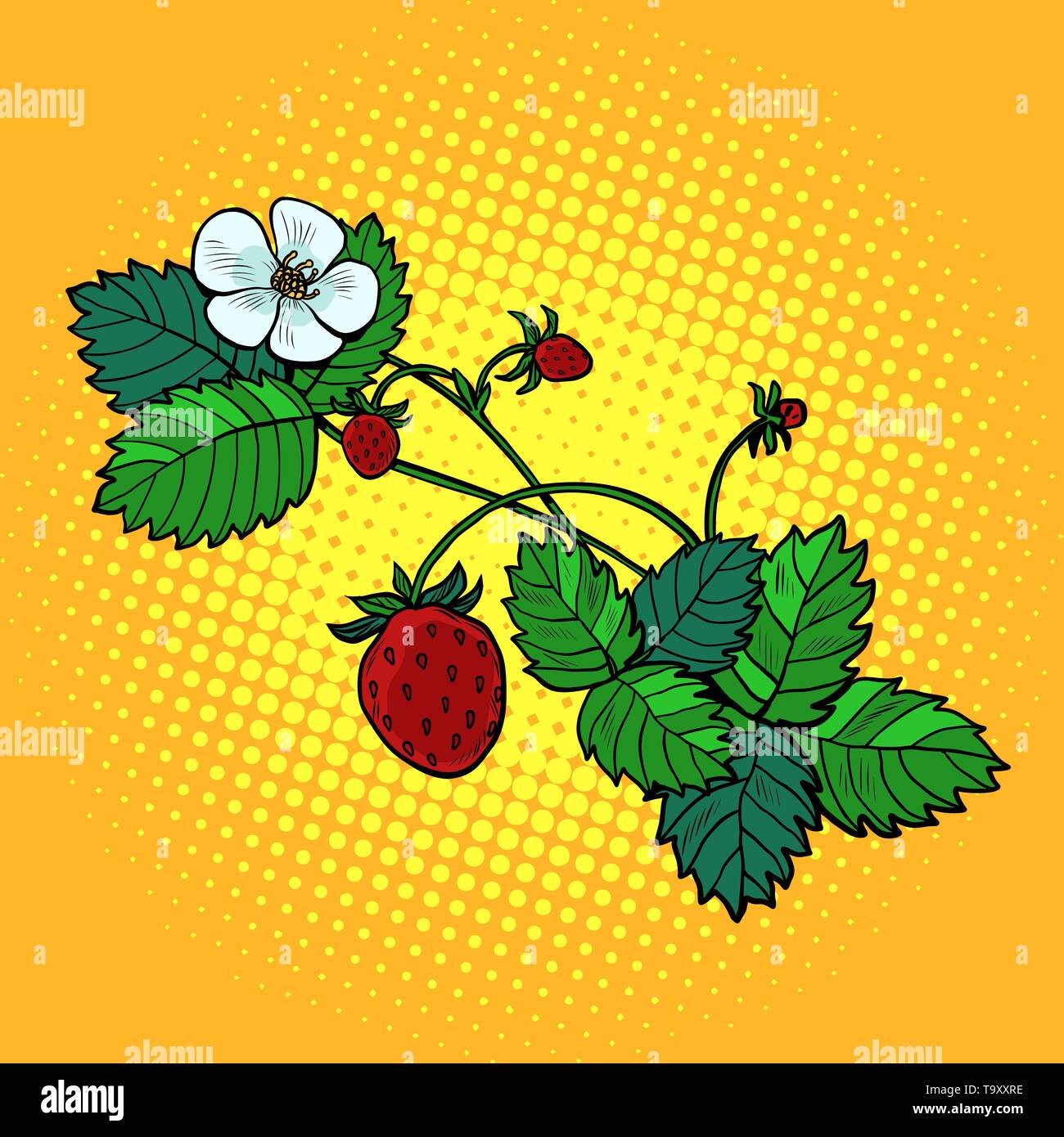 forest strawberry twig. Pop art retro vector illustration vintage kitsch Stock Vector