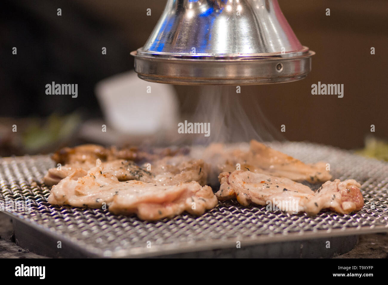 Bbq extractor fan deals
