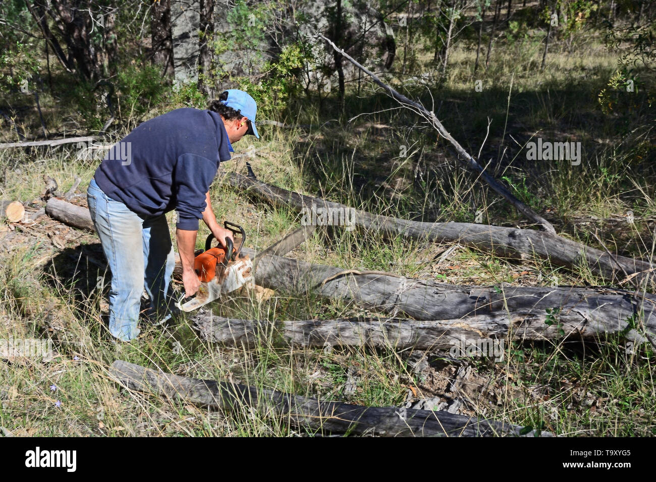 Chainsaw man wood hi-res stock photography and images - Alamy