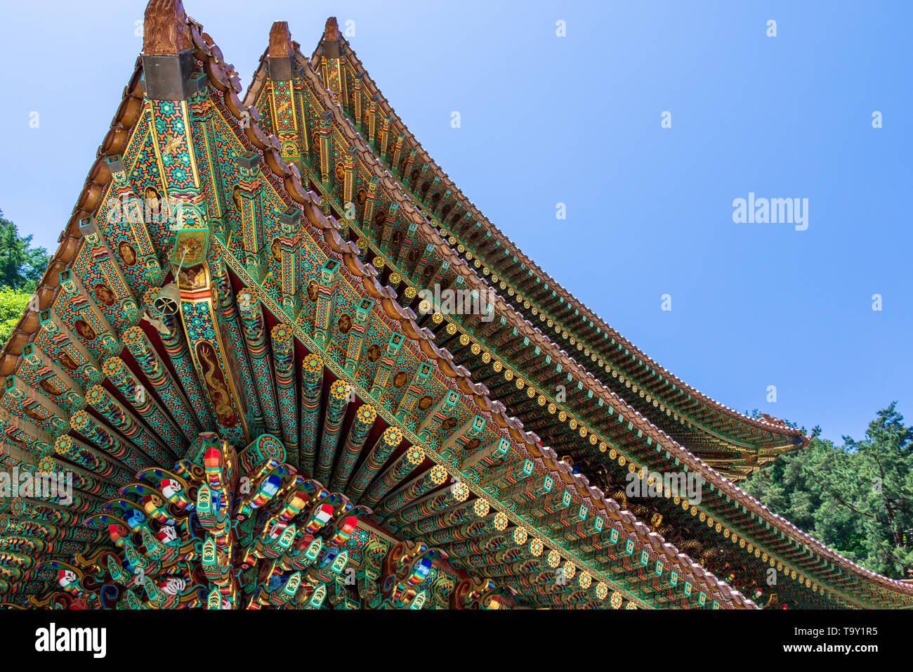 Guinsa temple hi-res stock photography and images - Alamy