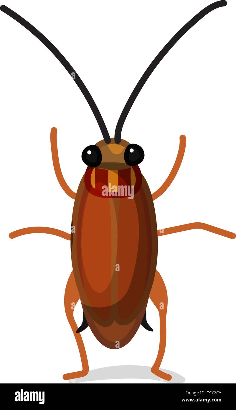 Cockroach cartoon character hi-res stock photography and images - Alamy