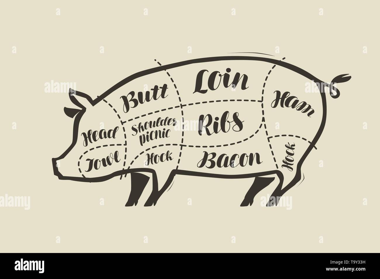Pig meat cutting. Menu for restaurant or butcher shop. Vector vintage Stock Vector