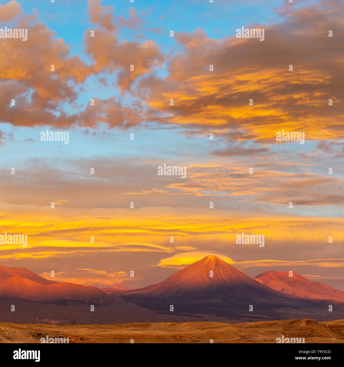 Square photograph of the Licancabur volcano at sunset in the Atacama Desert, Chile, South America. Stock Photo