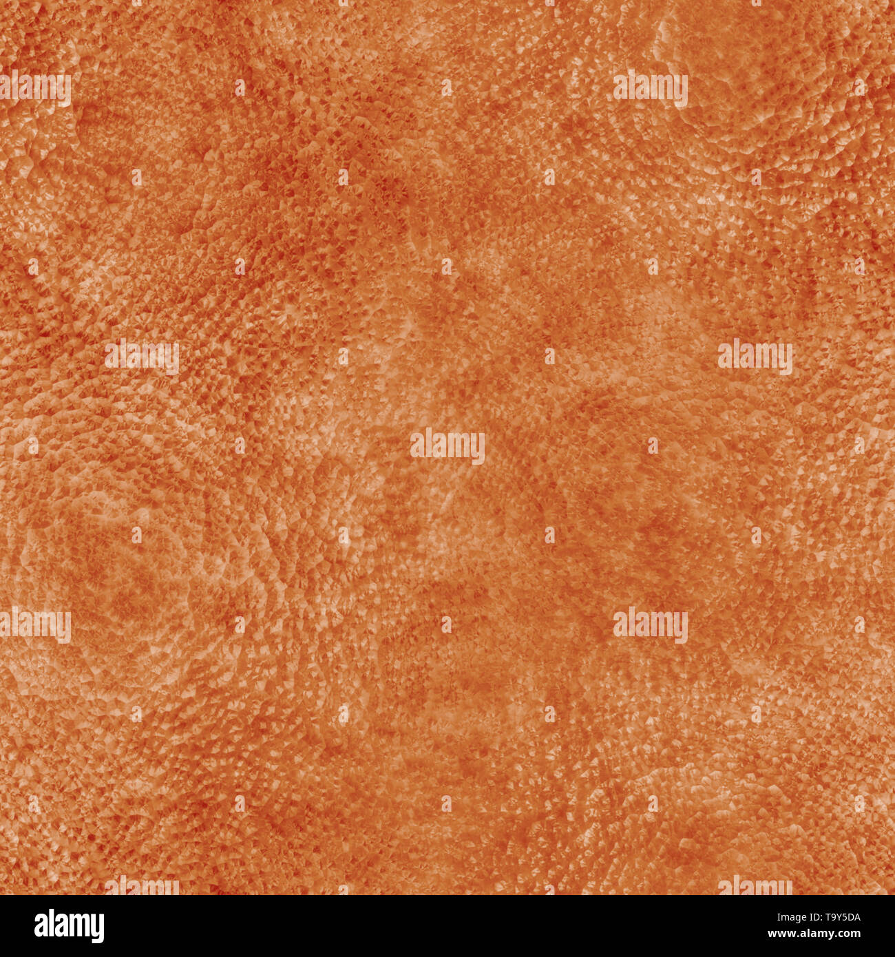 Animal hide skin hi-res stock photography and images - Alamy