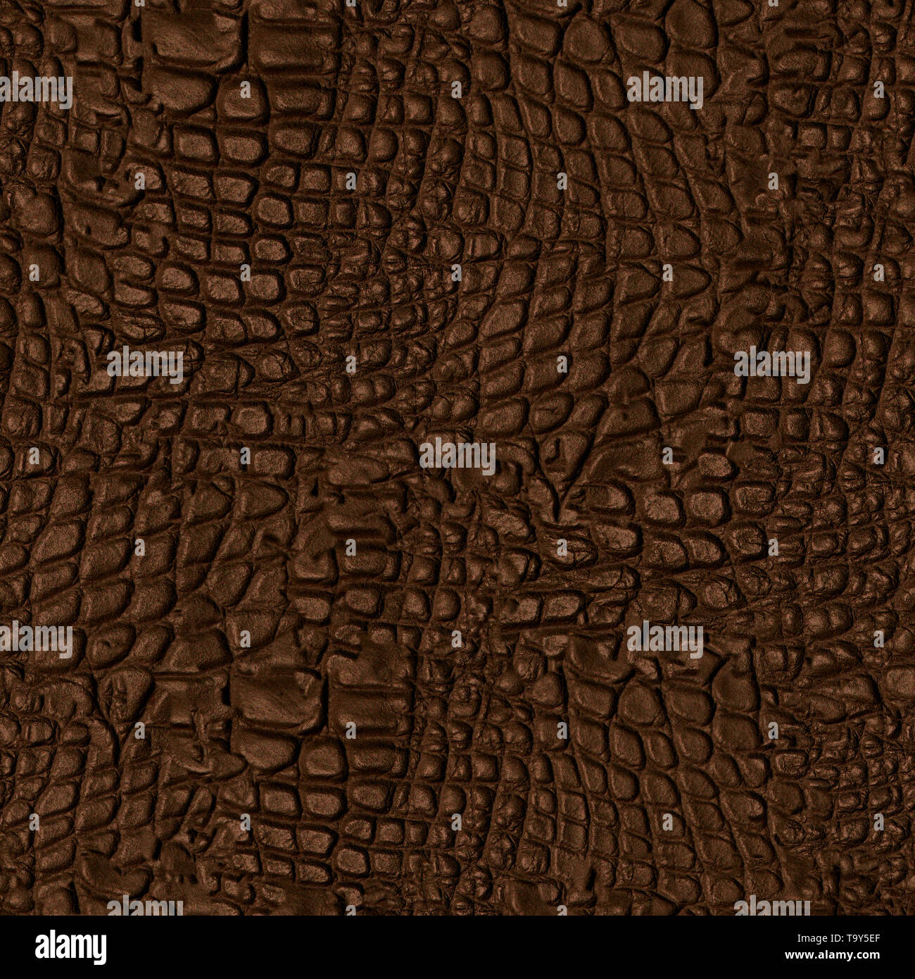 Alligator Hide Seamless Texture Tile Stock Photo