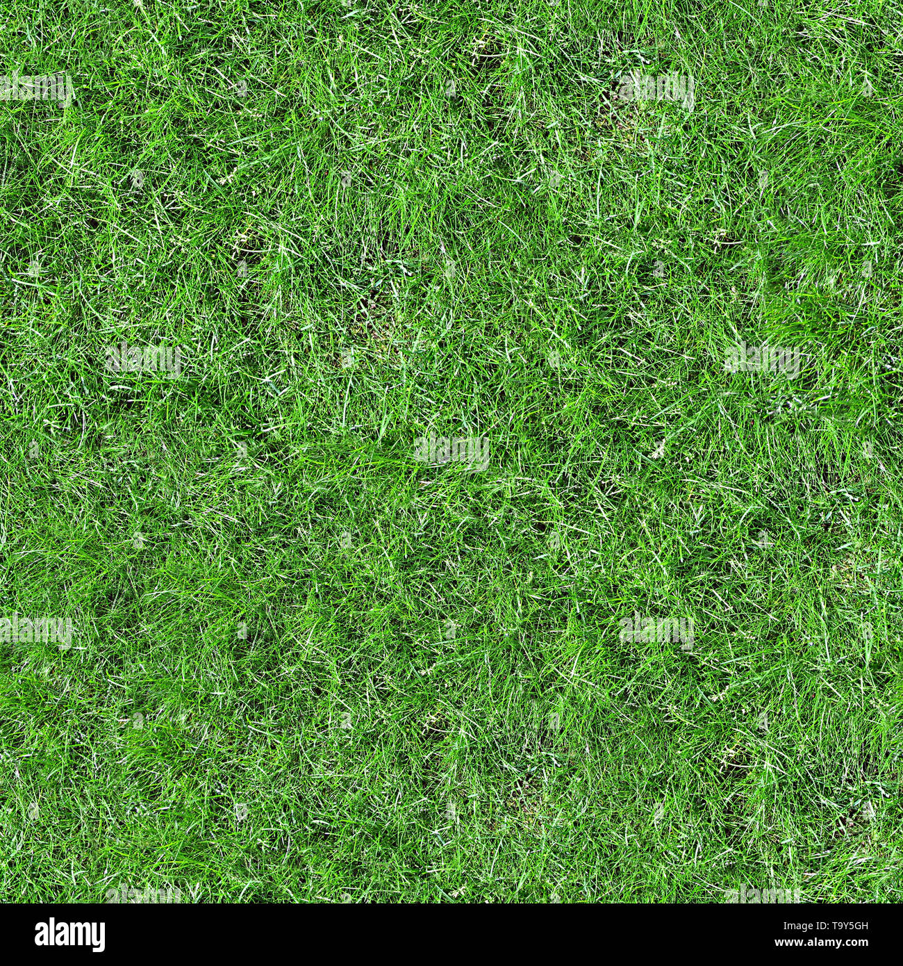 Grass Seamless Texture Tile Stock Photo