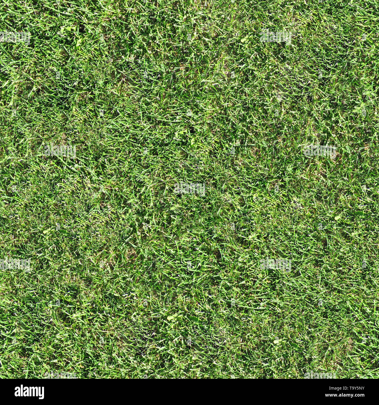 Grass Seamless Texture Tile Stock Photo