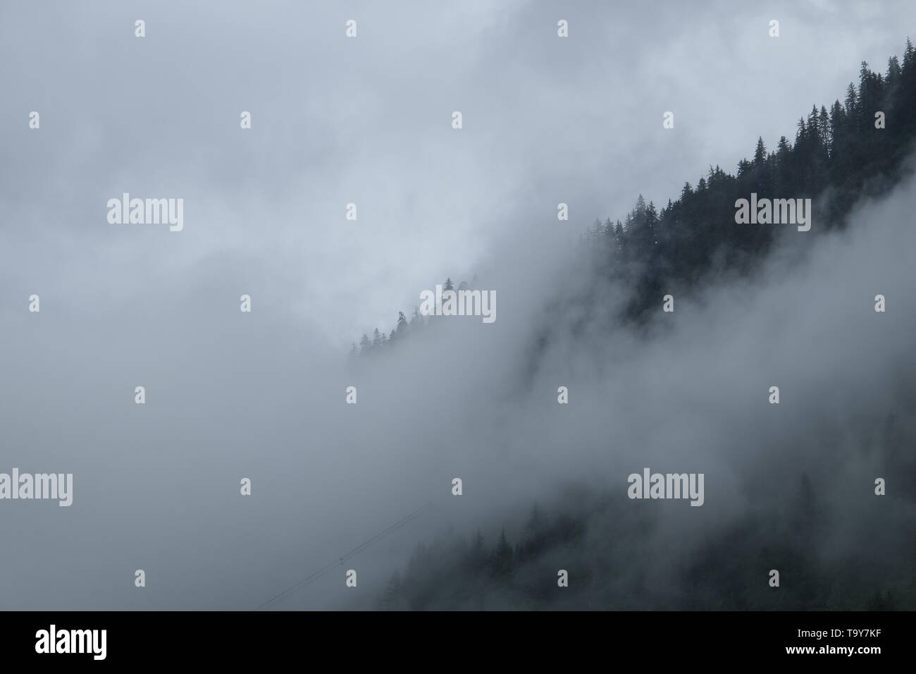 A Picture of Morning Mist in Juneau, AK Stock Photo
