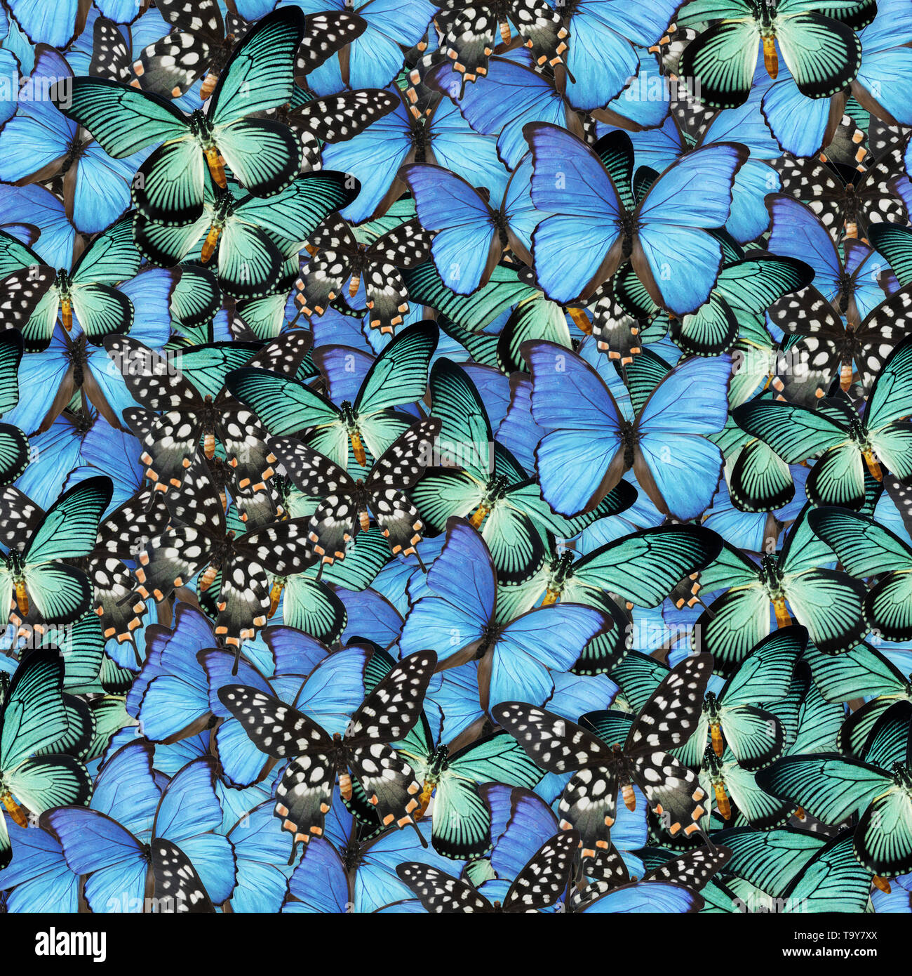 Butterflies Seamless Texture Tile Stock Photo - Alamy