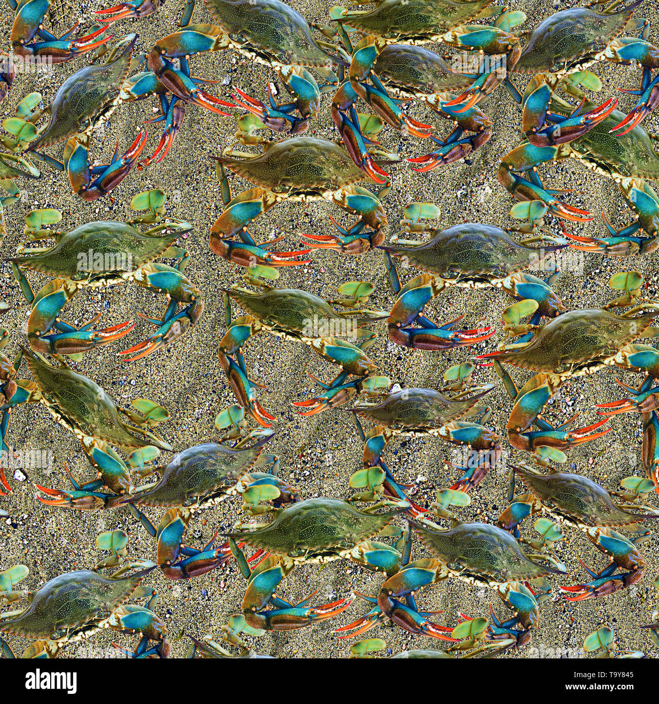 Crabs Seamless Texture Tile Stock Photo