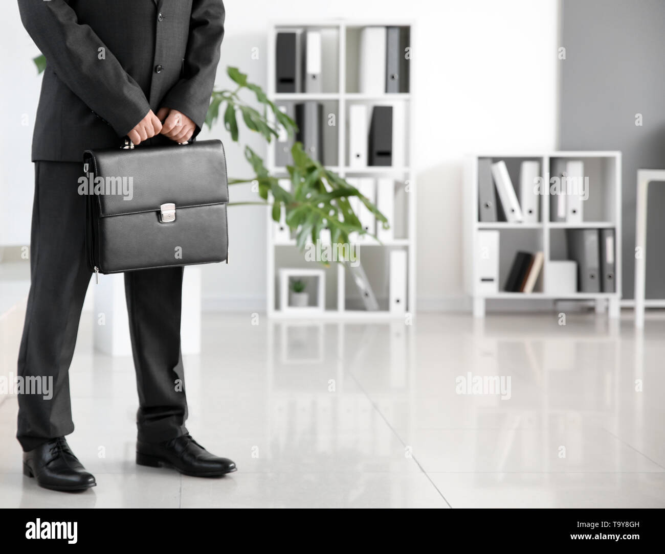Handsome male lawyer with briefcase in office Stock Photo - Alamy