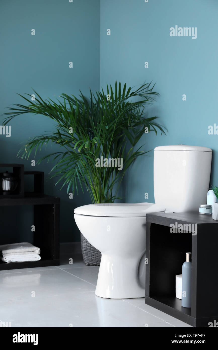 Modern interior of restroom with ceramic toilet bowl Stock Photo - Alamy