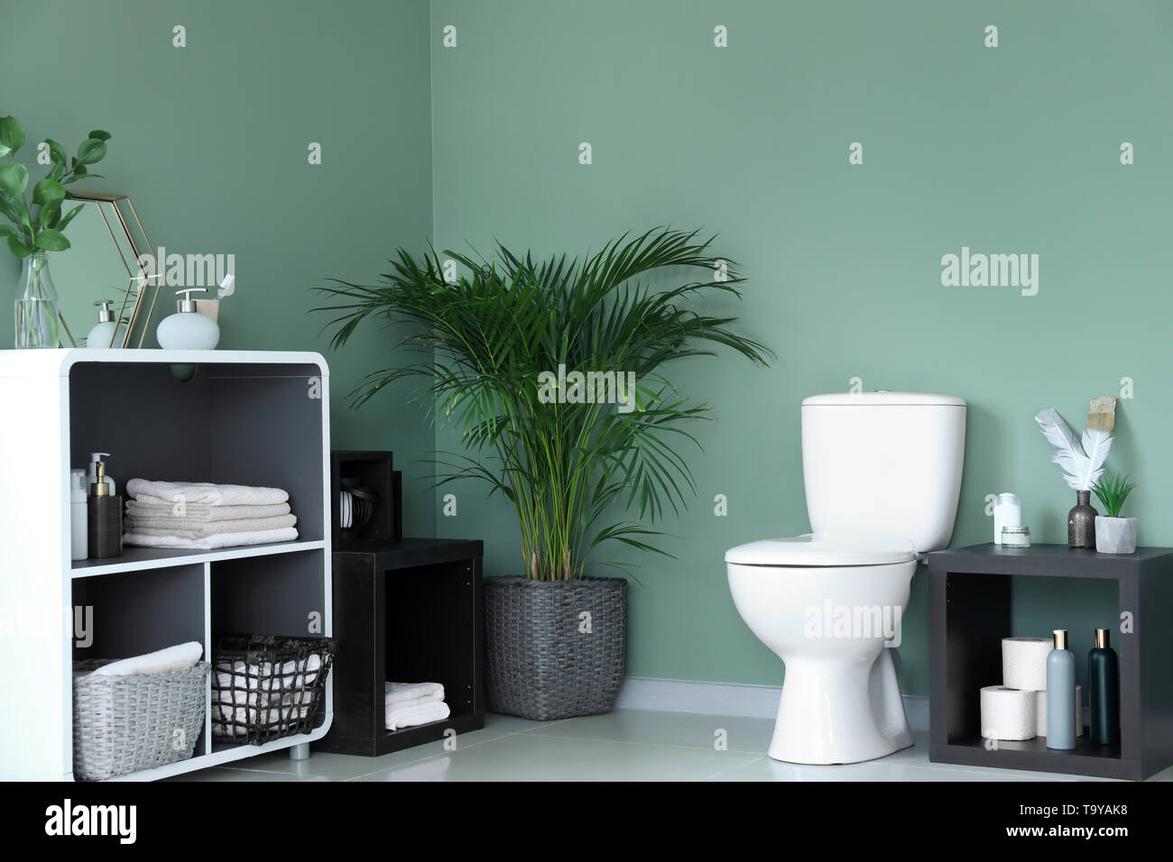 Modern interior of restroom with ceramic toilet bowl Stock Photo - Alamy