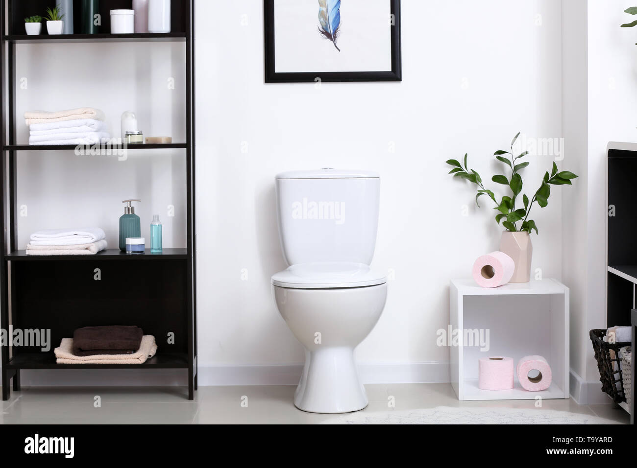 Modern interior of restroom with ceramic toilet bowl Stock Photo - Alamy