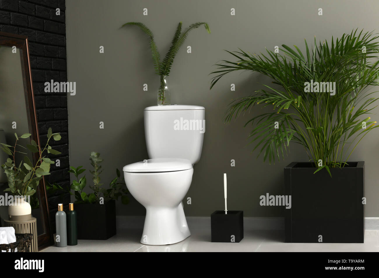 Modern interior of restroom with ceramic toilet bowl Stock Photo - Alamy