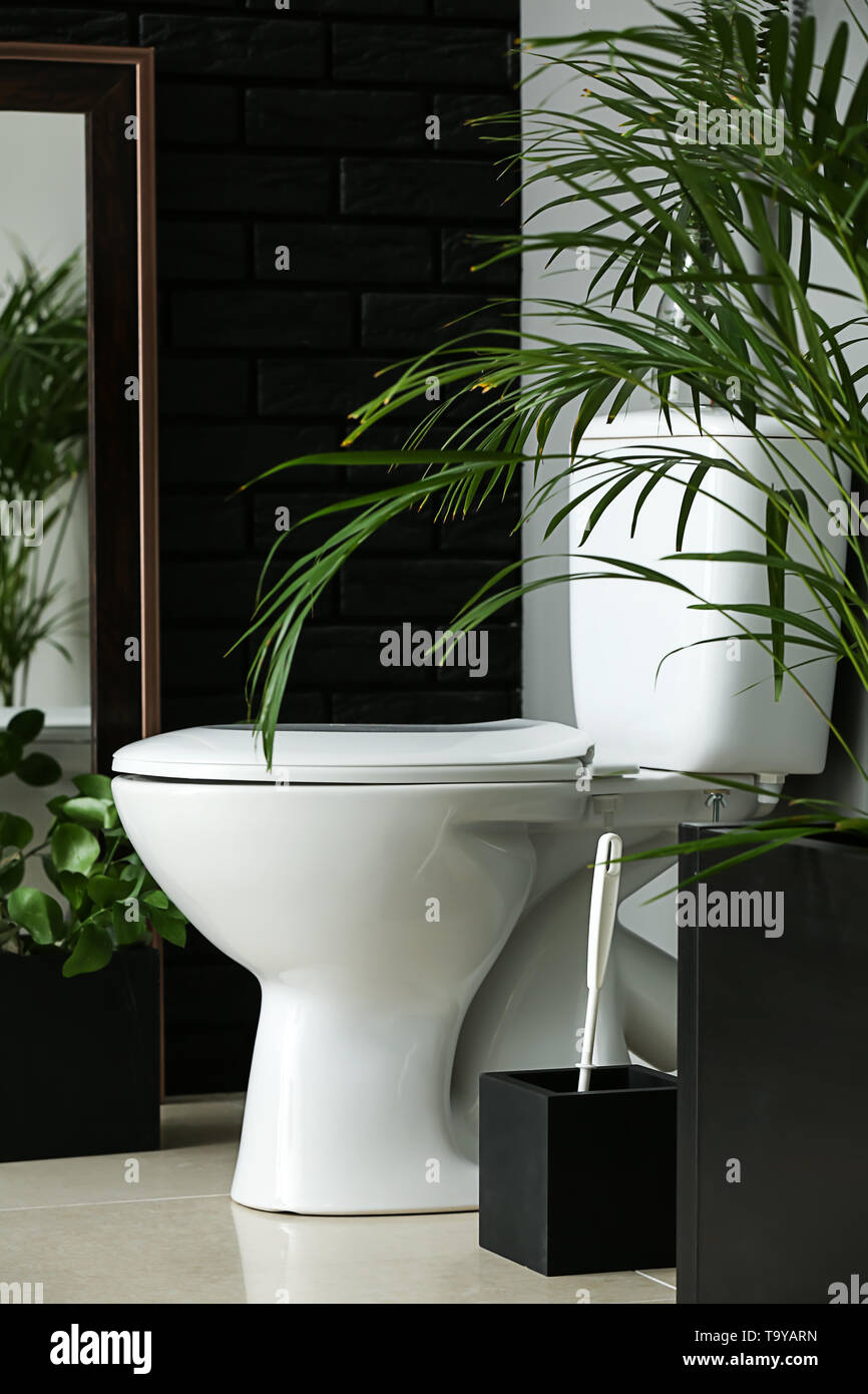 Modern interior of restroom with ceramic toilet bowl Stock Photo - Alamy