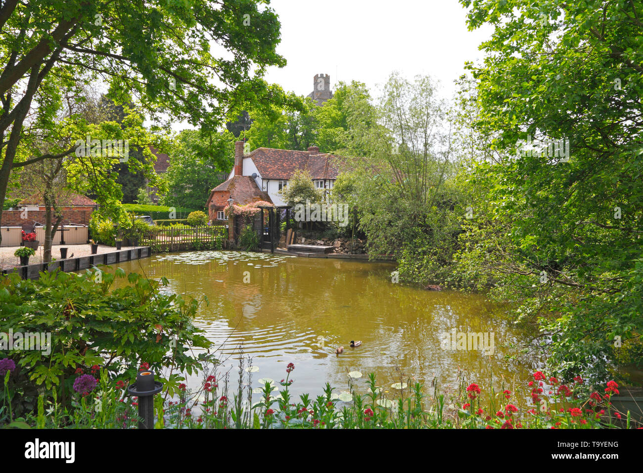 Smarden village pond, Kent, UK Stock Photo