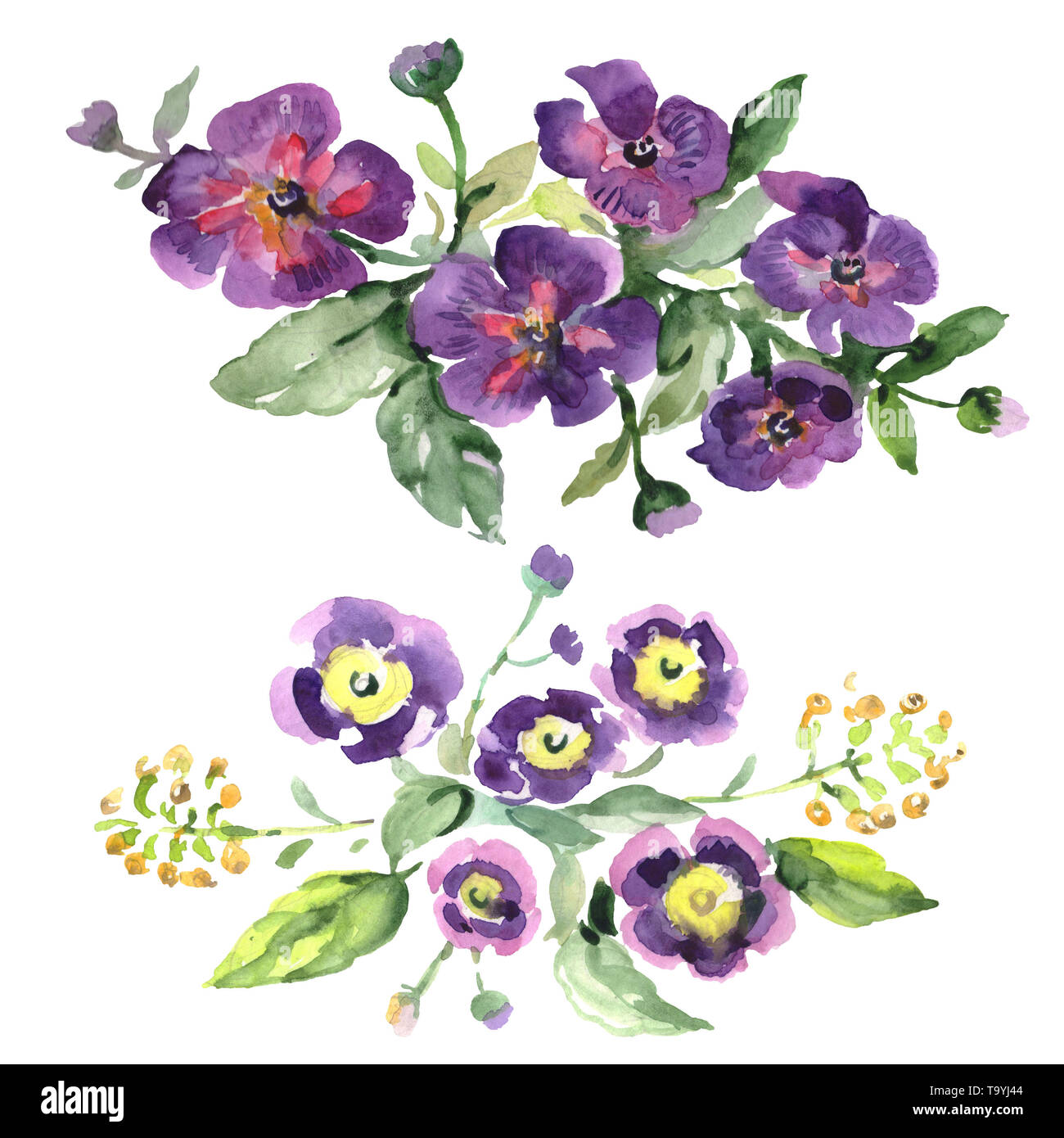 Bouquet floral botanical flowers. Watercolor background illustration ...