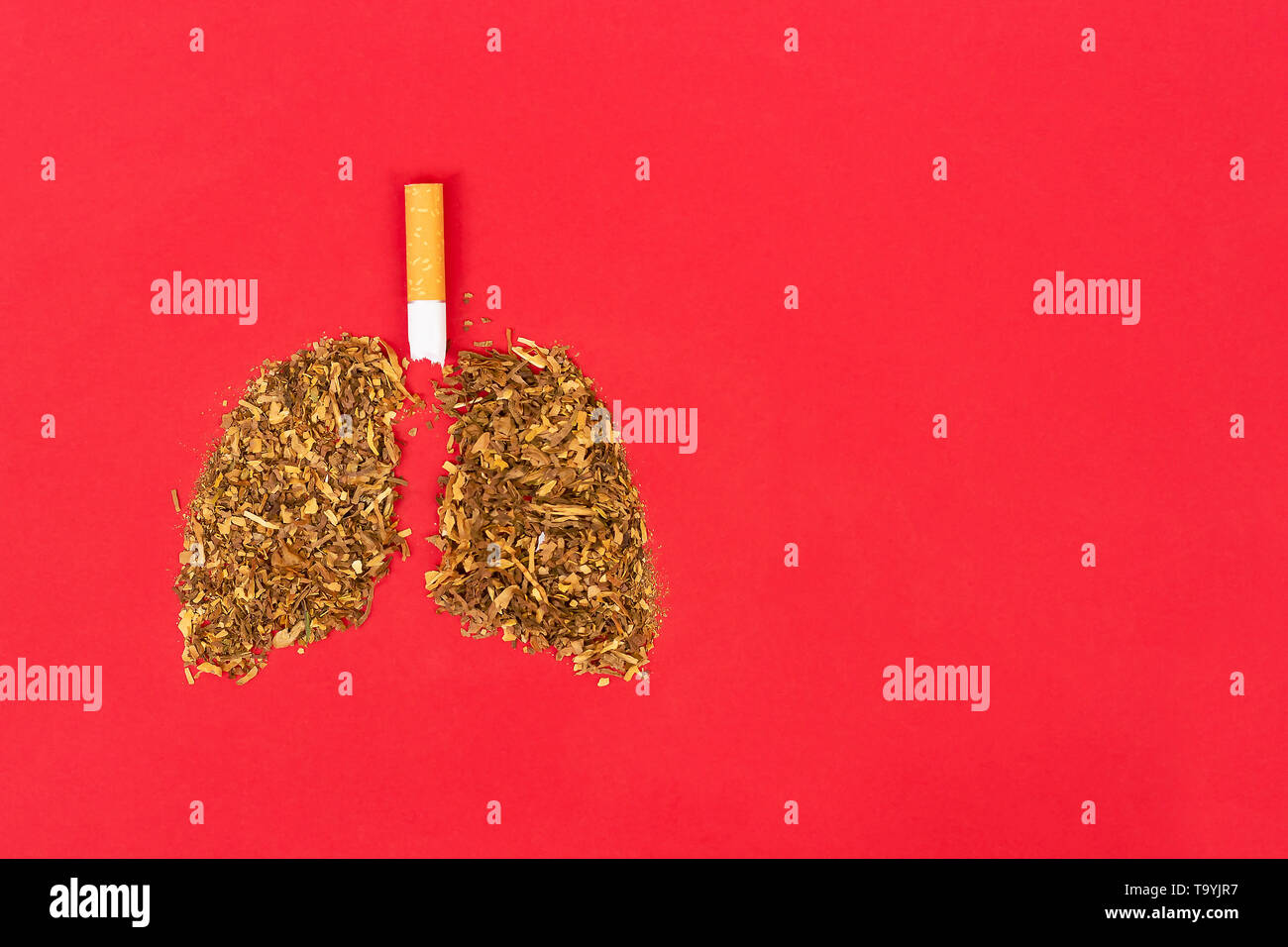 Lungs are made from tobacco and a cigarette is on a red background. Copy space. Stock Photo