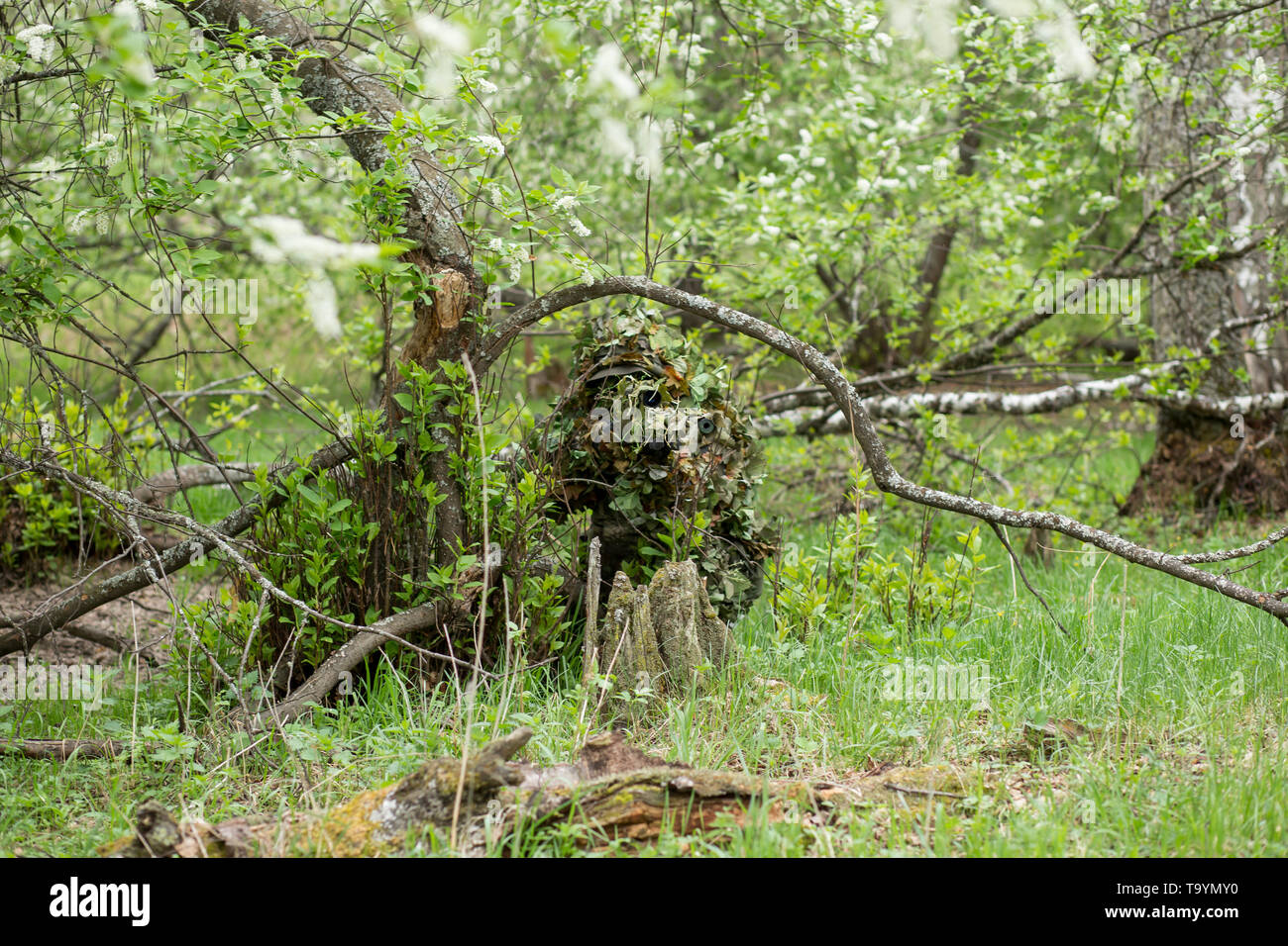 Professional camouflage clothes for the sniper on the man in the woods with a rifle. Military ambushed in nature, hid near a tree Stock Photo