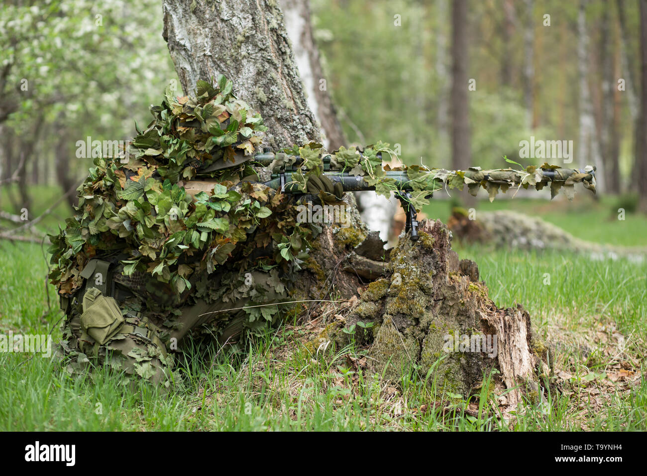 Camouflaged Sniper in the Forest Stock Image - Image of enemy