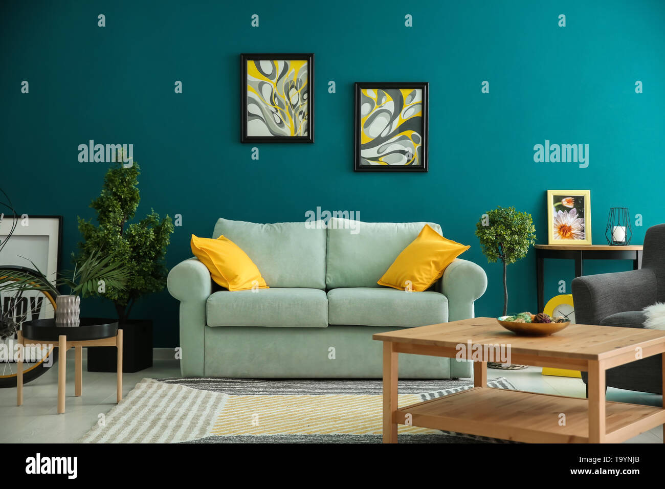 Stylish interior of living room with comfortable sofa Stock Photo - Alamy