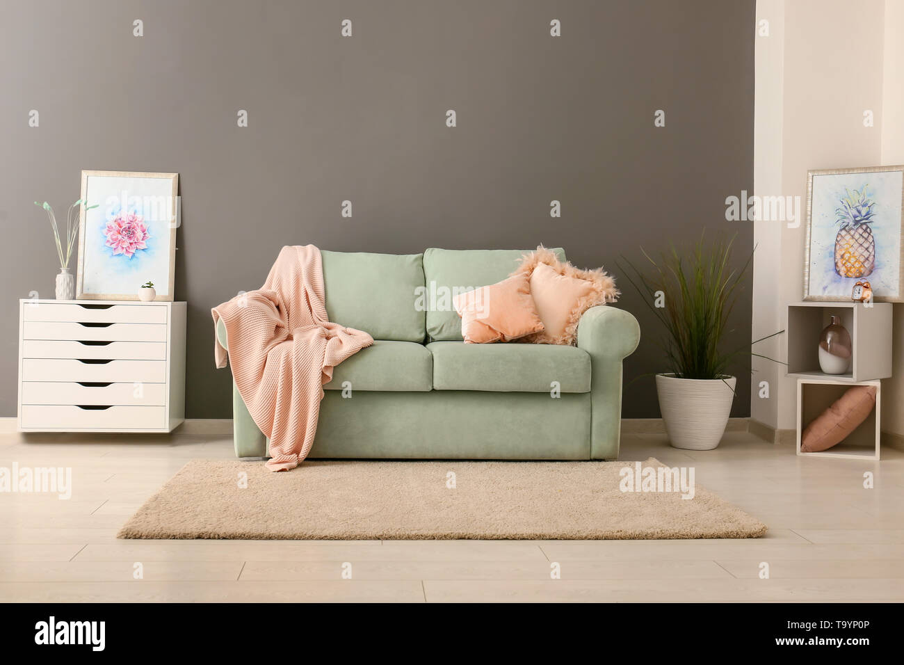 Stylish interior of living room with comfortable sofa Stock Photo - Alamy